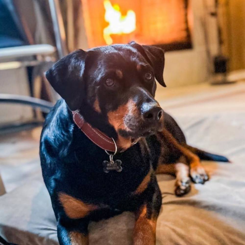 Meet your Posher, Michael